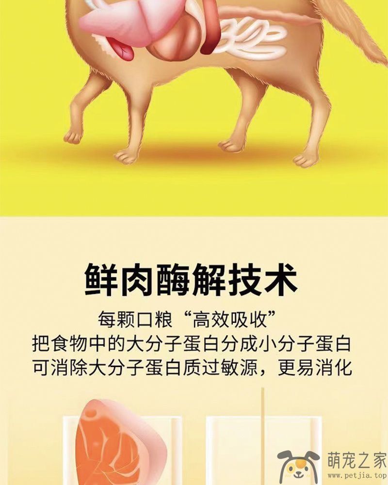 通用型40斤装金毛拉布拉多成犬幼犬口粮中大型犬大袋主粮20kg(图9)