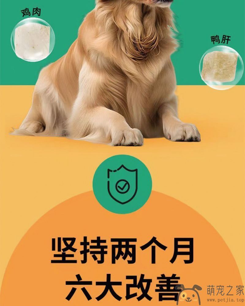 通用型40斤装金毛拉布拉多成犬幼犬口粮中大型犬大袋主粮20kg(图7)