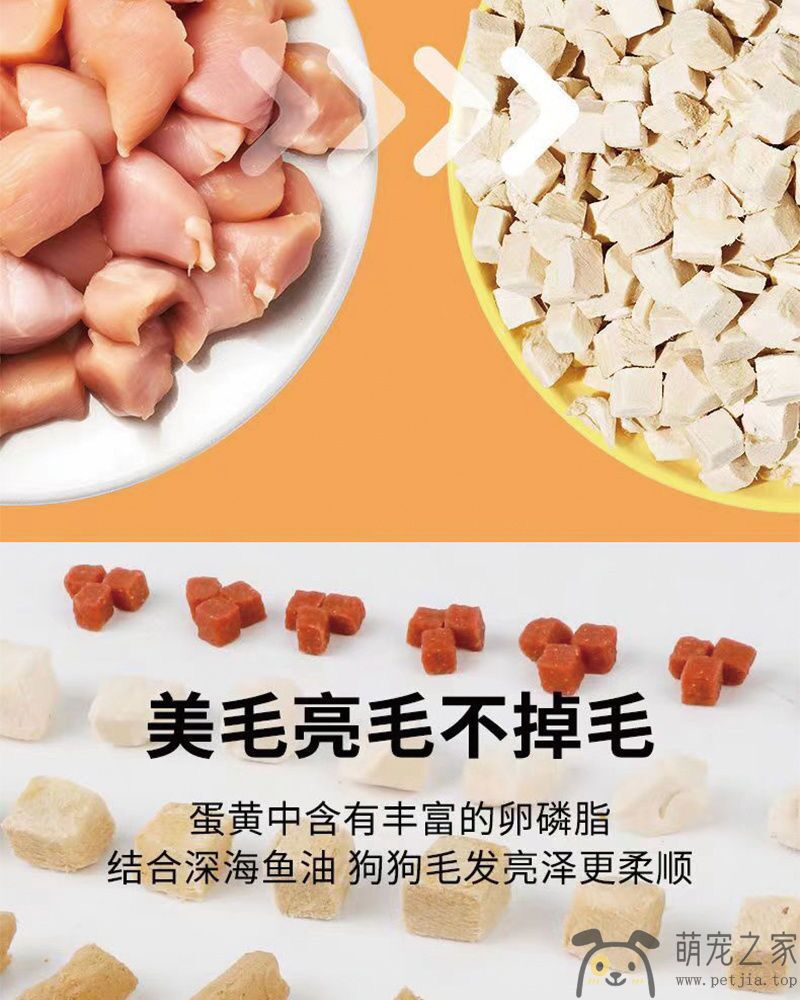 通用型40斤装金毛拉布拉多成犬幼犬口粮中大型犬大袋主粮20kg(图11)